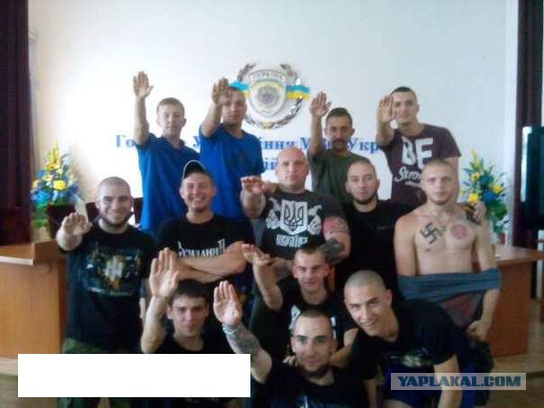 Привет ЯП из Донбасса