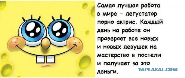 Весёлое из сети