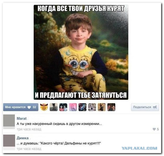 Смешные комментарии из социальных сетей