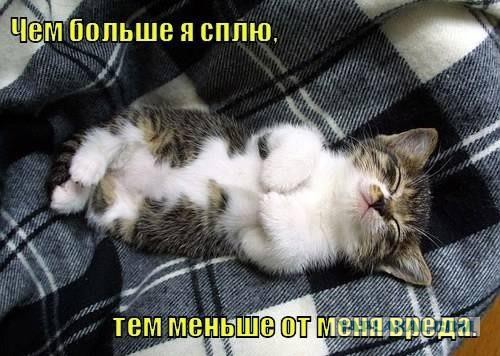 Весёлое из сети