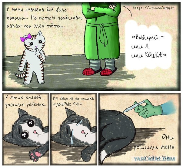 Кастрация кошек и котов