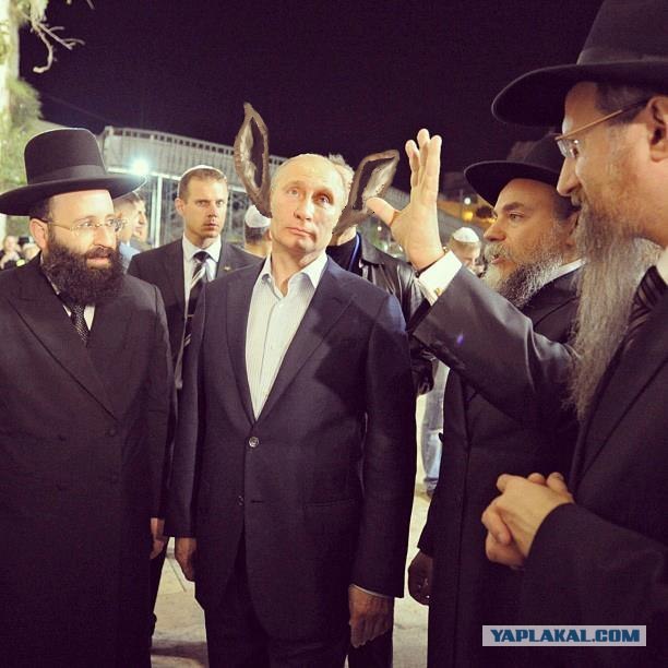 Свой среди своих