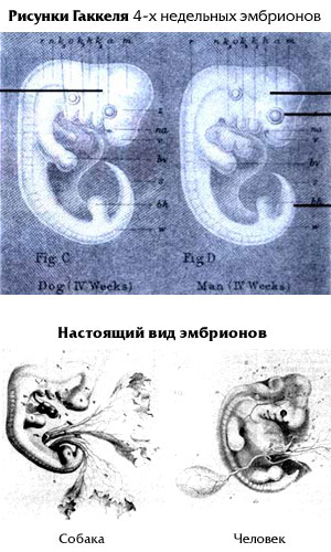 10 научных вопросов, на которые каждый