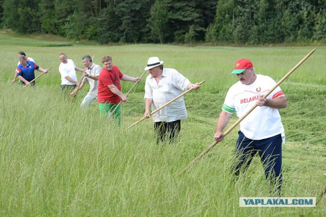 Лукашенко научил Жерара Депардье косить траву