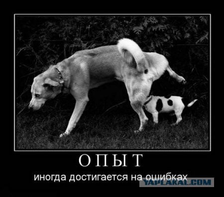 Деревенская Америка