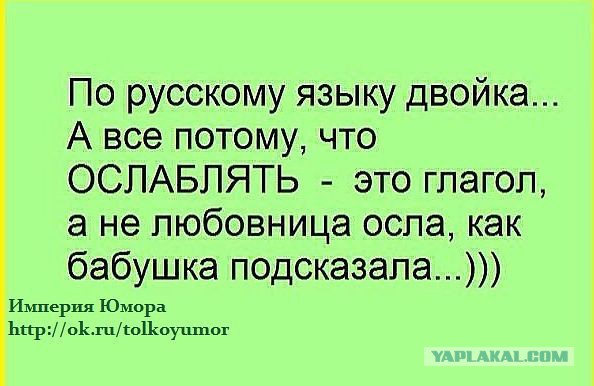 Иностранцы о русском языке