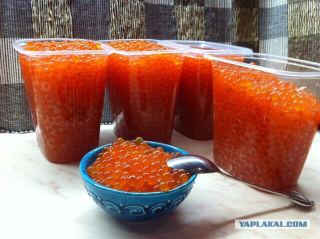 Как делают икру-пятиминутку и чем она отличается