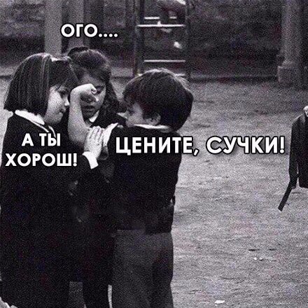 Веселые картинки