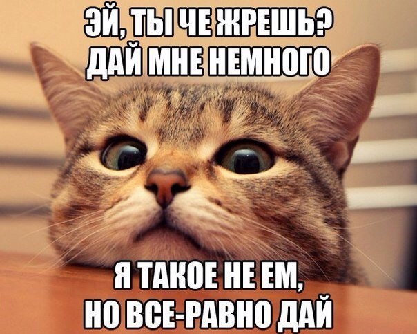 Картинки и демотиваторы