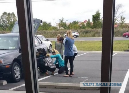 Картинки смешные и несмешные