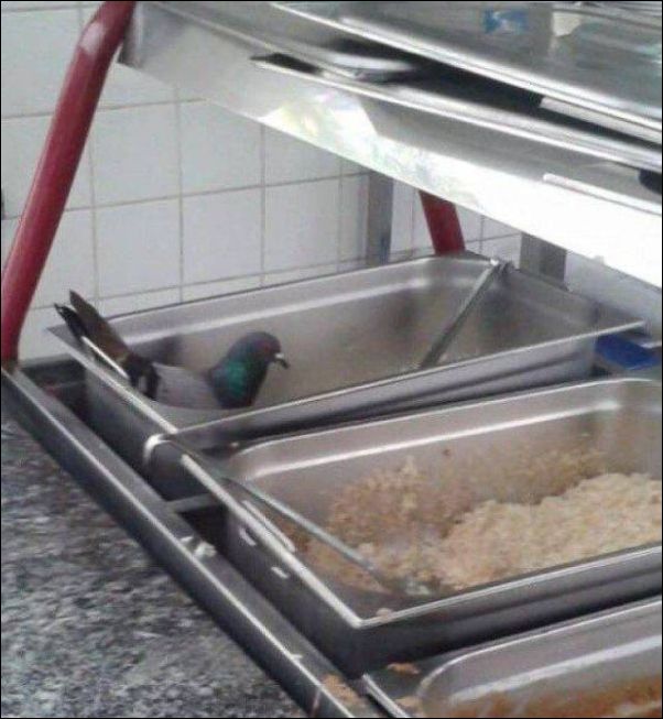 Забавные картинки из Сети