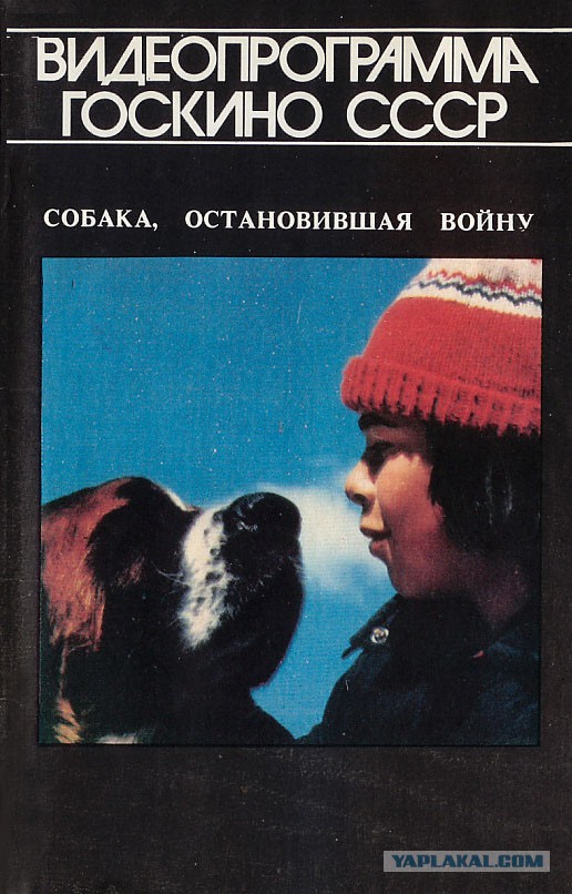 Детские фильмы, которые сейчас не увидишь на ТВ