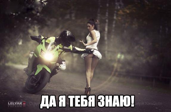 Пучок смешных картинок