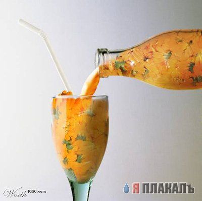 Красивые фото, картинки, позитив