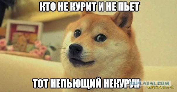 Музей греха в Тамбове (не для слабонервных)