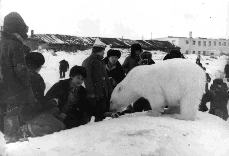 Человек "кормит" медведя живой собакой