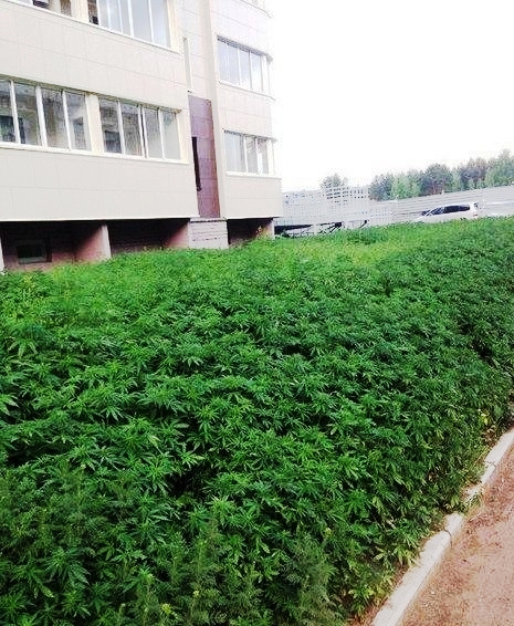 Подборка интересных и веселых фото