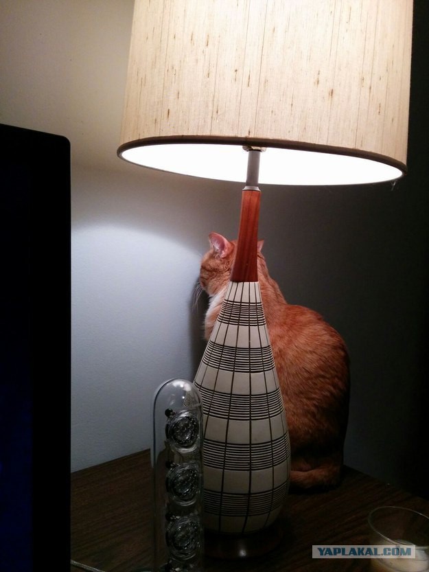 Тимуровцы ХХI века.