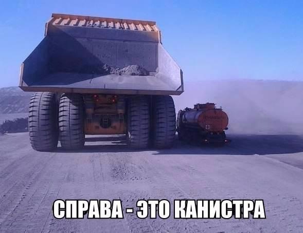 Интересные и веселые картинки