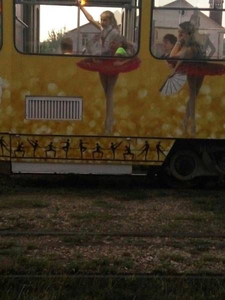 Прикольные картинки