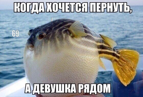 Юмор не для всех