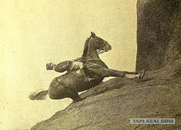 ФотоОвсянка, сэр..