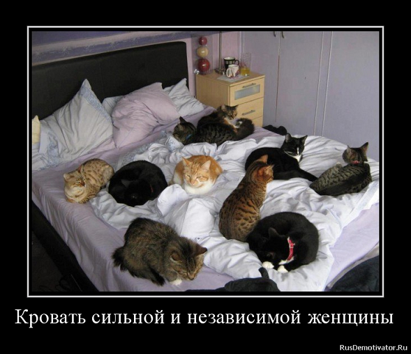 Хочешь достойного мужчину? Подумай, что дашь взамен