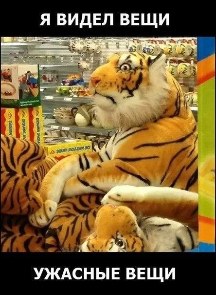 Что это?