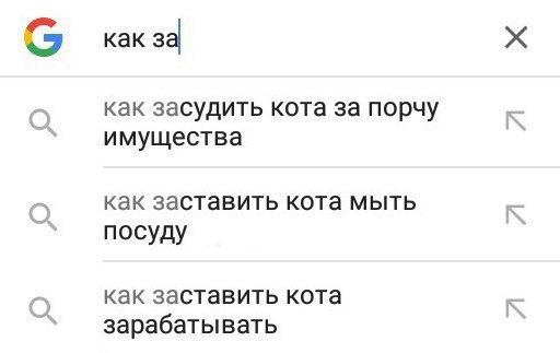 Комиксы, показывающие, что значит жизнь с котом