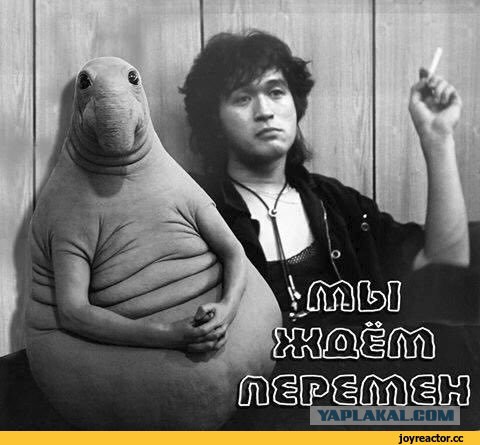 Средняя зарплата ...