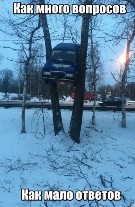 Подборка безудержного веселья