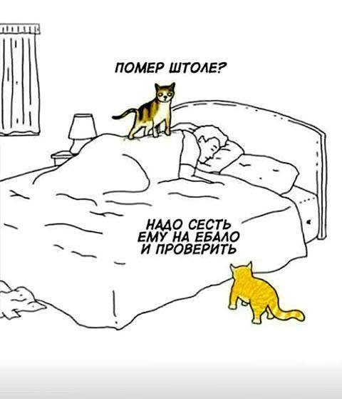 Юмор для всех