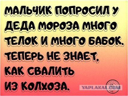Юмор ниже пояса