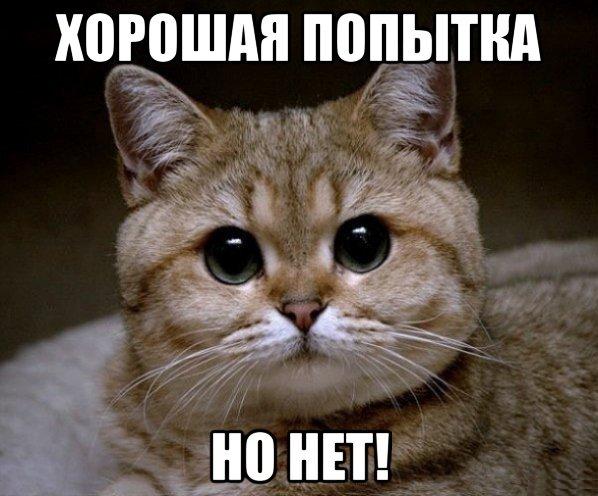 Итоги проверки пользователей