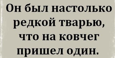 Нестандартный юмор