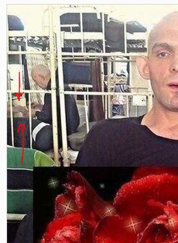 Выловлено в наших сетях