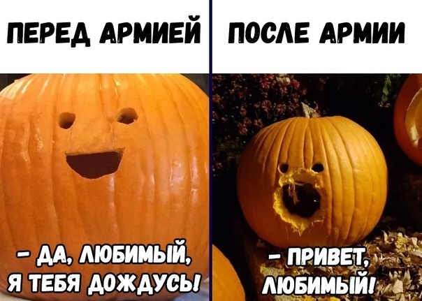 Чёрная пятница, говорите? - Ну ок...