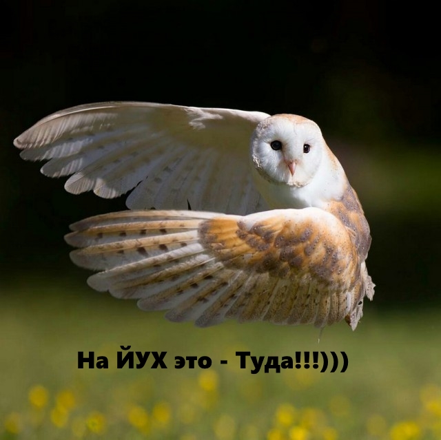 НестандART v. 34.0