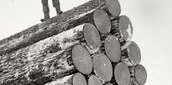 Фальшивая история человечества. Старинные фотографии