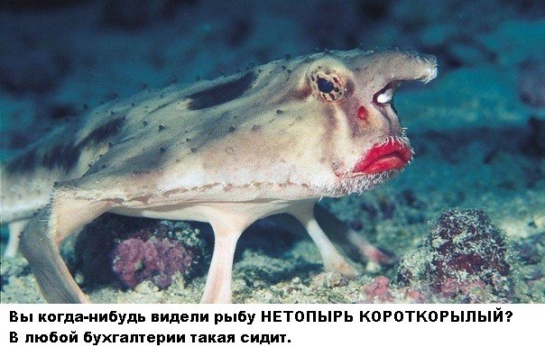 Про резиновую задницу!