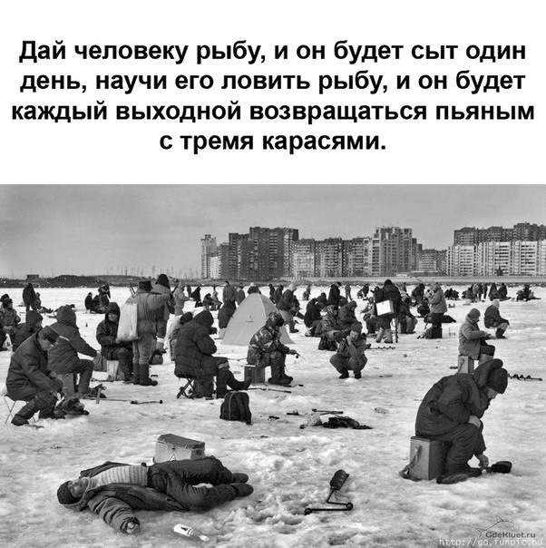 Картинок в ленту