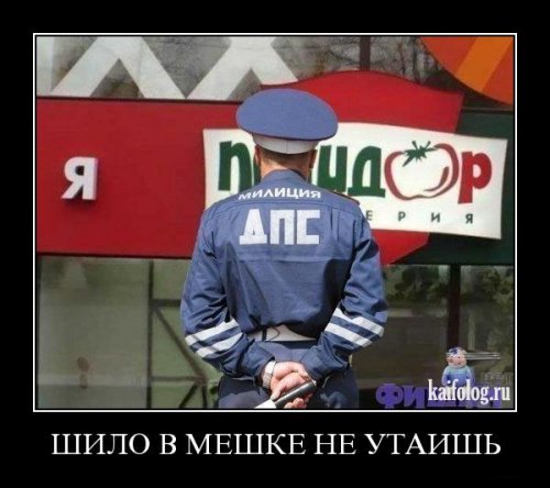 В Норильске дети разбегаются с детской площадки завидев ментовскую машину