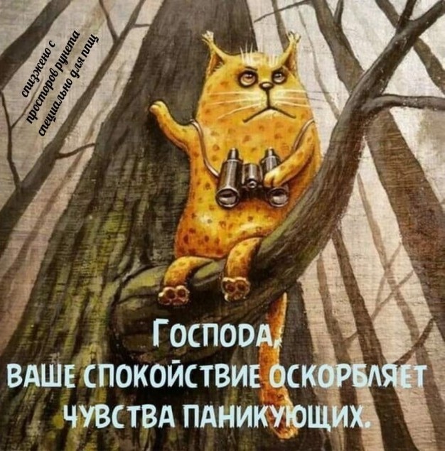 Допугались: россияне перестали бояться коронавируса