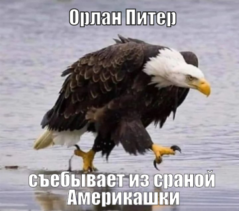 Вот так... ввели армию - а она на колени встала