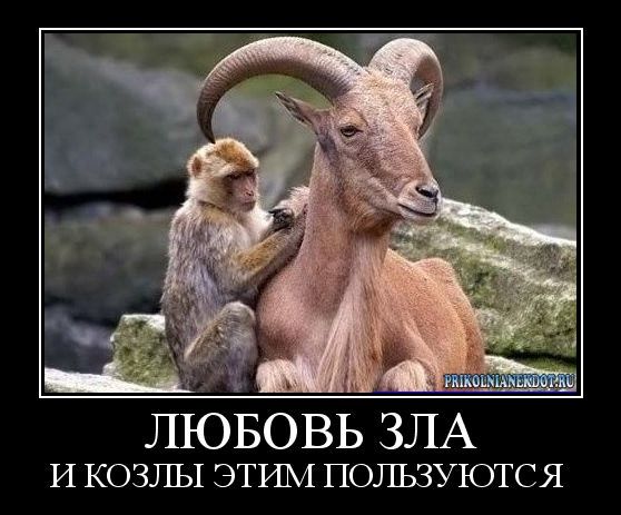 Какой должна быть женщина
