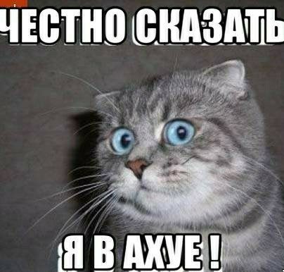 Мне бы его спокойствие