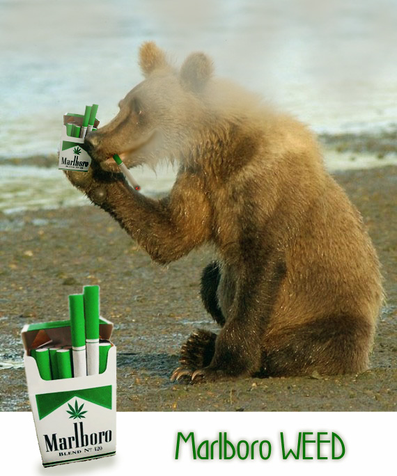Маша-а-а!Аууууу!