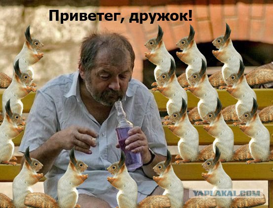 Фотожаба: Бельчонок