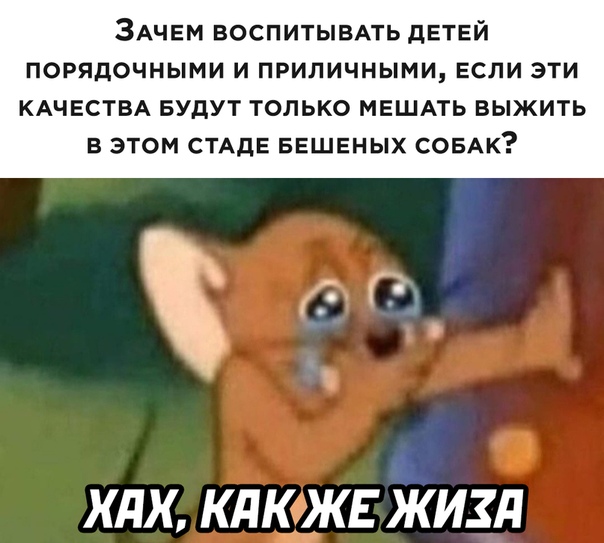 Немного картинок для настроения 10.11.20