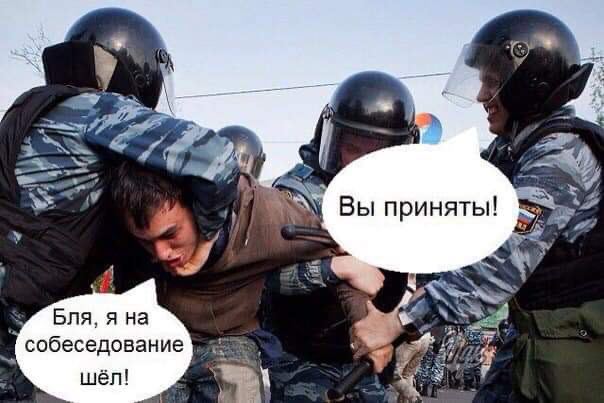 Чепухень на каждый день